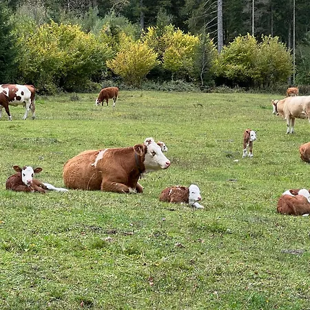 Bergzauber Бад Гоисерн