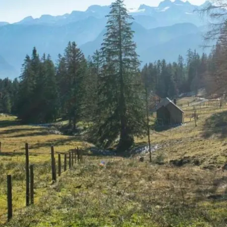 Bergzauber *