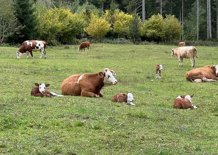 Bergzauber باد غويسرن